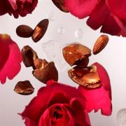 Rituals The Ritual of Ayurveda Sweet Almond & Indian Rose Shampoo 250m...