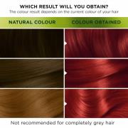 Garnier Nutrisse Permanent Hair Dye (forskellige nuancer) - 6.60 Ultra...