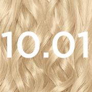 Garnier Nutrisse Permanent Hair Dye (forskellige nuancer) - 10.01 Baby...