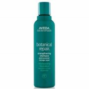 Aveda Botanical Repair Shampoo and Conditioner Duo