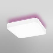 LEDVANCE SMART+ WiFi Orbis Backlight hvid 35x35 cm