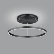 Lisa-D LED-hængelampe, ringformet, sort