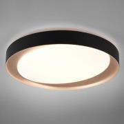 Zeta LED-loftlampe, tunable white, sort/guld