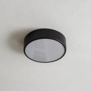 Cleo 300 loftlampe, IP54, Ø 30 cm, sort