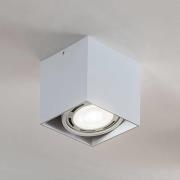 Arcchio loftspot Mabel, 13 cm x 13 cm, hvid, GU10