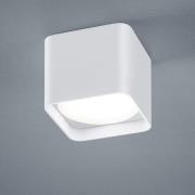 Helestra Dora LED-loftlampe, kantet, mat hvid