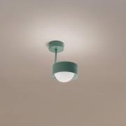 Loftlampe Mado, 1 lyskilde, grøn
