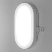 LEDVANCE Bulkhead udendørs LED-væglampe 5,5W, hvid