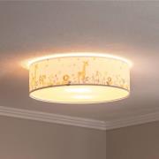 Loftlampe til børneværelse Max, Ø 50 cm