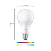 WiZ A67 LED-pære Wi-Fi E27 13 W mat RGB