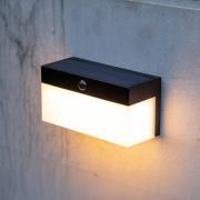 Fran udendørs LED-væglampe, solcelle, CCT