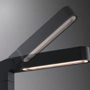 Paulmann Plug & Shine LED Ito-projektor, lodret, IP65