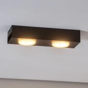 Downlight Ian i sort, 2 lyskilder