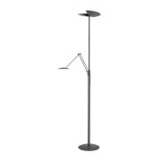 LED-gulvlampe New Sapporo, sort, 183 cm metal Dæmper CCT