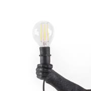 SELETTI LED-pære Monkey Lamp udendørs E14 2 W 24V/36V