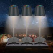 Cilano LED-bordlampe, sæt med 3, antracit, ladestation