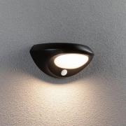 Paulmann udendørs LED-væglampe Sorova, sensor, antracit