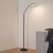 Lindby LED-gulvlampe Elvyn, sort, justerbar