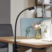 Lindby klemlampe Jyla, sort, linse, 4200K, GX53