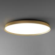 Luceplan Compendium Plate LED-loftlampe, messing