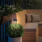 LED-lampe med jordspyd RIFFLE MINI, antracit Ø 9 cm, IP44