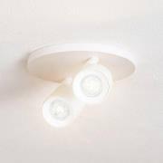 Arcchio spotlight Brinja, hvid, rund, Ø 7 cm, 2 lyskilder, GU10