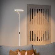 LED-gulvlampe Celeste, hvid, højde 174 cm, metal
