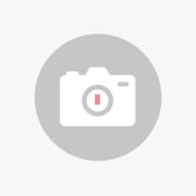 Muuto hængelampe Under the Bell, Ø 55 cm, grå