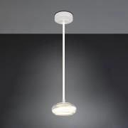 LED-hængelampe Tarsia, hvid mat, Ø 21 cm, glas