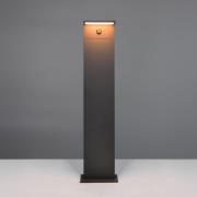 LED-vejlampe Ravi, antracit, højde 100 cm, sensor, IP54