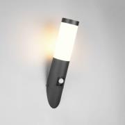 Udendørs væglampe Trioto, sort mat, 39 cm stål, sensor