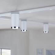 Paulmann URail skinnespot Tube, signalhvid, metal, GU10