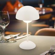 LED-batteridrevet bordlampe Kugle, hvid, metal, IP44, dæmpbar