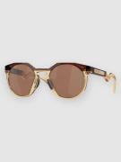 Oakley Hstn Dark Amber/Light Curry Solbriller brun