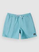 Quiksilver Everyday Solid Volley 15 Boardshorts blå