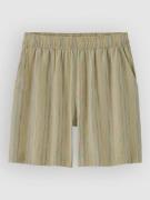 Patagonia Garden Island Long - 6 In. Shorts