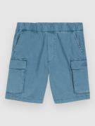 O'Neill Cargo Kids Shorts blå