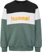 Hummel Claes Sweatshirt Drenge Hoodies Og Sweatshirts Grøn 122