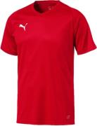 Puma Liga Core Tshirt Herrer Tøj Sort Xs