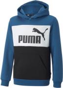 Puma Essentials+ Colourblock Hættetrøje Drenge Hoodies Og Sweatshirts ...