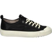 ZOEY - ZL71 BLACK - LOW SNEAKER