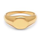 Men's Gold Mini Signet Ring