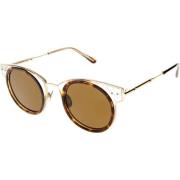 Stilfulde solbriller brune linser transparent ramme