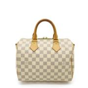 Pre-owned Plast louis-vuitton-tasker