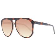 Brun Aviator Solbriller