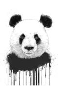 Pelcasa - Plakat Graffiti Panda - Hvid - Posters - - Homeroom