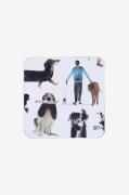 Maxwell & Williams - Coasters 4-pak Dogs - Flerfarvet - Bar- & drinkst...
