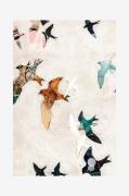 Malerifabrikken - Poster Abstract Birds 1 - Beige - Posters - - Homero...