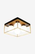 Aneta Lighting - Plafond ASTRO - Sort - Plafonder - - Homeroom