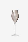 Zelected by Houze - Champagneglas Grace 4-pak - Grå - Vinglas - - Home...